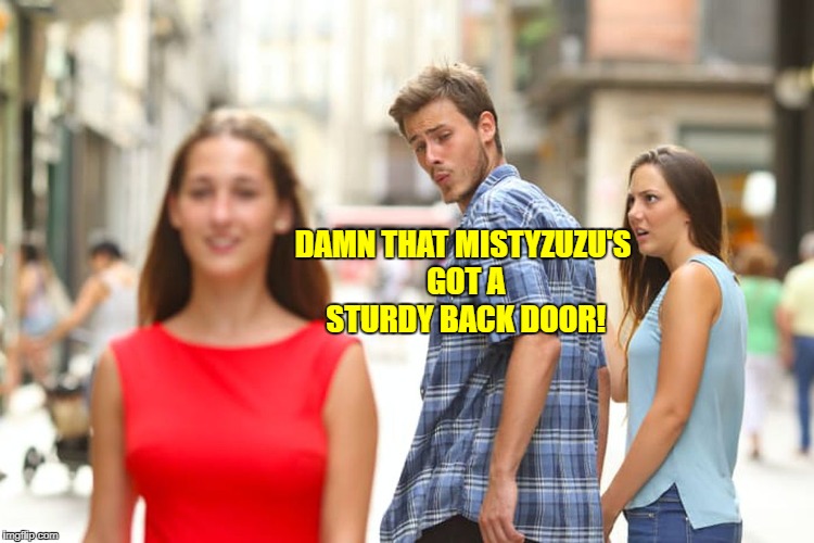 Distracted Boyfriend Meme | DAMN THAT MISTYZUZU'S GOT A STURDY BACK DOOR! | image tagged in memes,distracted boyfriend | made w/ Imgflip meme maker