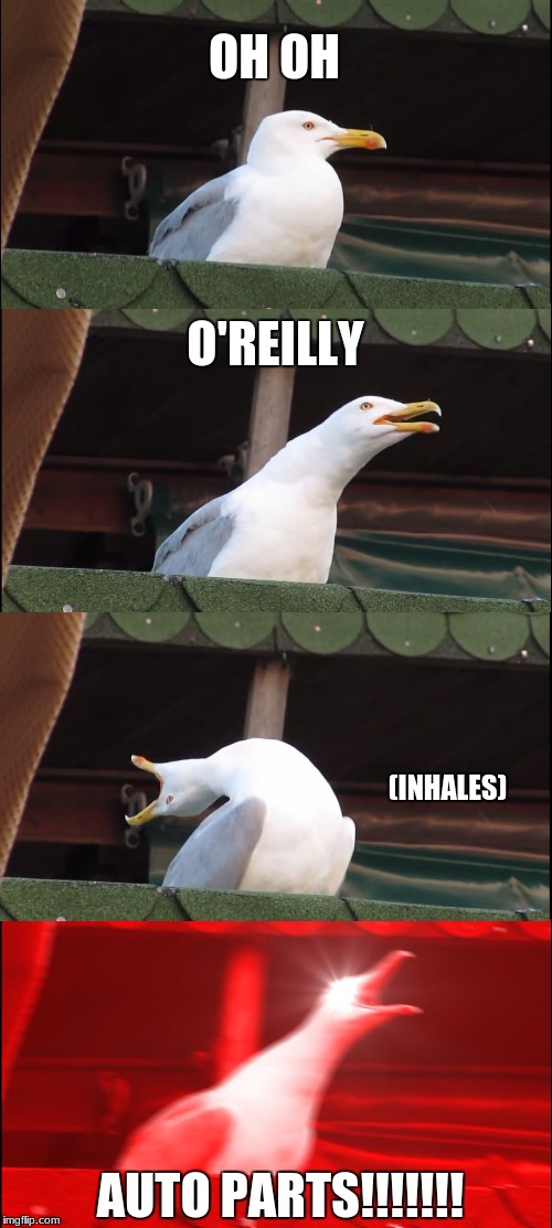 Inhaling Seagull | OH OH; O'REILLY; (INHALES); AUTO PARTS!!!!!!! | image tagged in memes,inhaling seagull,auto parts | made w/ Imgflip meme maker