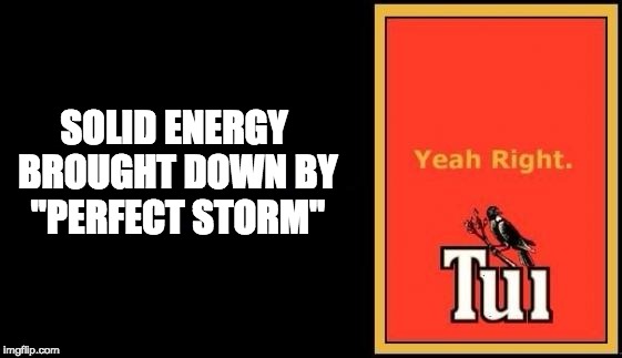 Tui | SOLID ENERGY BROUGHT DOWN
BY "PERFECT STORM" | image tagged in tui | made w/ Imgflip meme maker