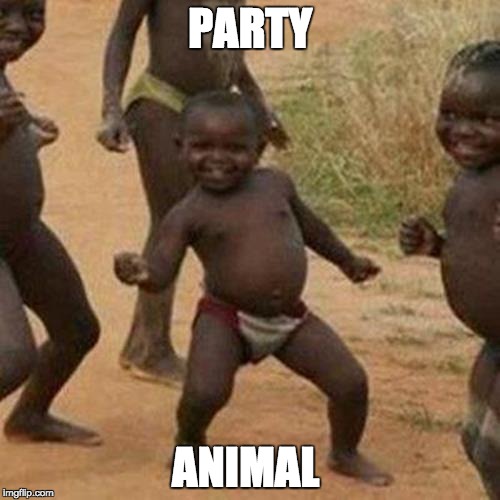 Third World Success Kid Meme | PARTY; ANIMAL | image tagged in memes,third world success kid | made w/ Imgflip meme maker