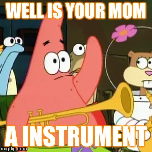 No Patrick Meme | WELL IS YOUR MOM; A INSTRUMENT | image tagged in memes,no patrick | made w/ Imgflip meme maker