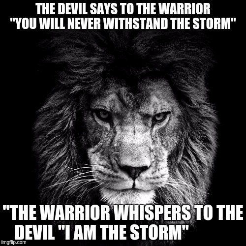 The Devil Says To The Warrior | THE DEVIL SAYS TO THE WARRIOR "YOU WILL NEVER WITHSTAND THE STORM"; "THE WARRIOR WHISPERS TO THE DEVIL "I AM THE STORM" | image tagged in the devil says to the warrior | made w/ Imgflip meme maker