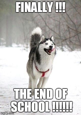 The End !!! | FINALLY !!! THE END OF SCHOOL !!!!!! | image tagged in happy husky | made w/ Imgflip meme maker