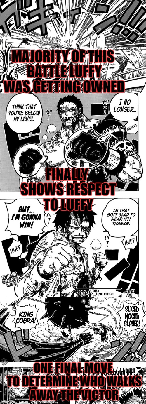 MAJORITY OF THIS BATTLE LUFFY WAS GETTING OWNED; FINALLY SHOWS RESPECT TO LUFFY; ONE FINAL MOVE TO DETERMINE WHO WALKS AWAY THE VICTOR | image tagged in luffy,one piece,fierce,madness combat | made w/ Imgflip meme maker