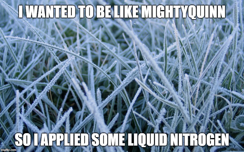I WANTED TO BE LIKE MIGHTYQUINN; SO I APPLIED SOME LIQUID NITROGEN | made w/ Imgflip meme maker