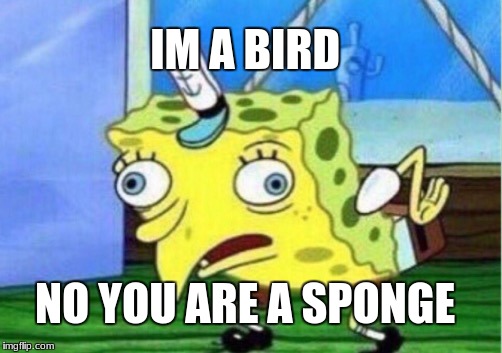 Mocking Spongebob | IM A BIRD; NO YOU ARE A SPONGE | image tagged in memes,mocking spongebob | made w/ Imgflip meme maker