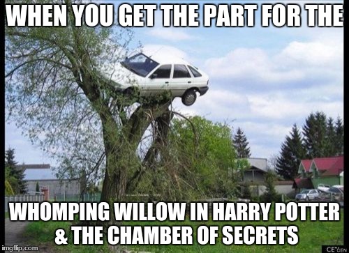 Secure Parking | WHEN YOU GET THE PART FOR THE; WHOMPING WILLOW IN HARRY POTTER & THE CHAMBER OF SECRETS | image tagged in memes,secure parking | made w/ Imgflip meme maker