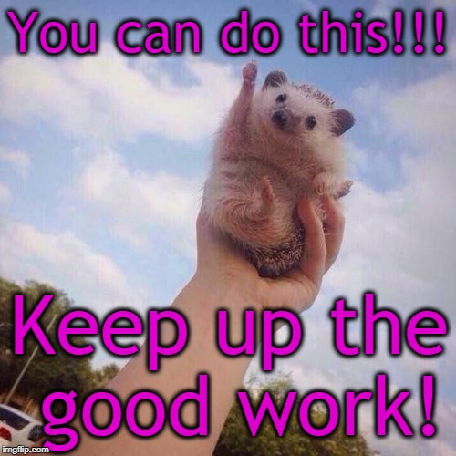 Hedgehog Cheer | You can do this!!! Keep up the good work! | image tagged in hedgehog cheer | made w/ Imgflip meme maker