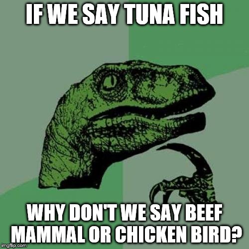 Philosoraptor | IF WE SAY TUNA FISH; WHY DON'T WE SAY BEEF MAMMAL OR CHICKEN BIRD? | image tagged in memes,philosoraptor | made w/ Imgflip meme maker