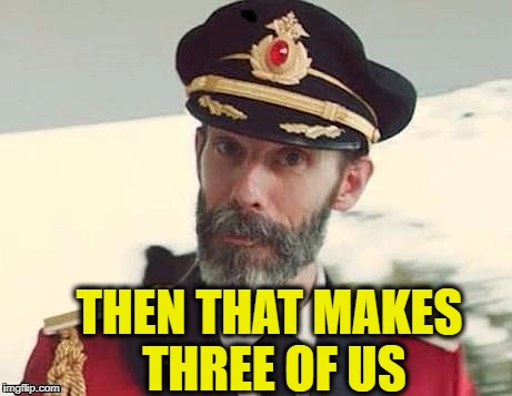 Captain Obvious | THEN THAT MAKES THREE OF US | image tagged in captain obvious | made w/ Imgflip meme maker