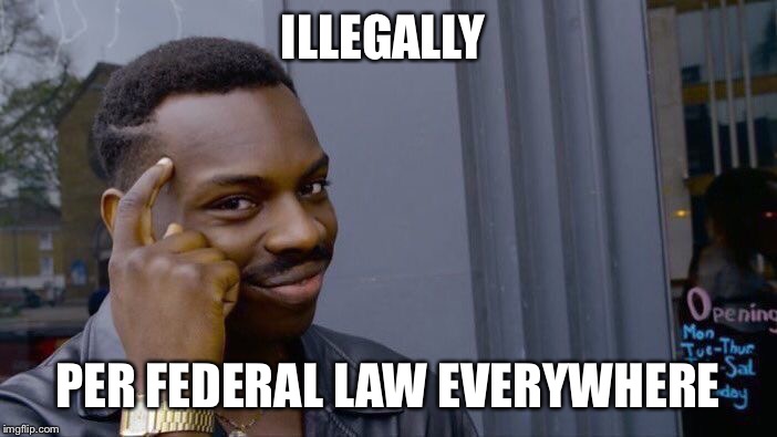Roll Safe Think About It Meme | ILLEGALLY PER FEDERAL LAW EVERYWHERE | image tagged in memes,roll safe think about it | made w/ Imgflip meme maker