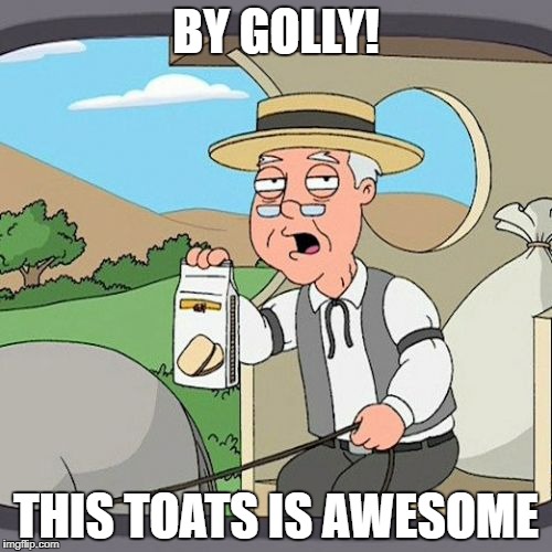 Pepperidge Farm Remembers | BY GOLLY! THIS TOATS IS AWESOME | image tagged in memes,pepperidge farm remembers | made w/ Imgflip meme maker