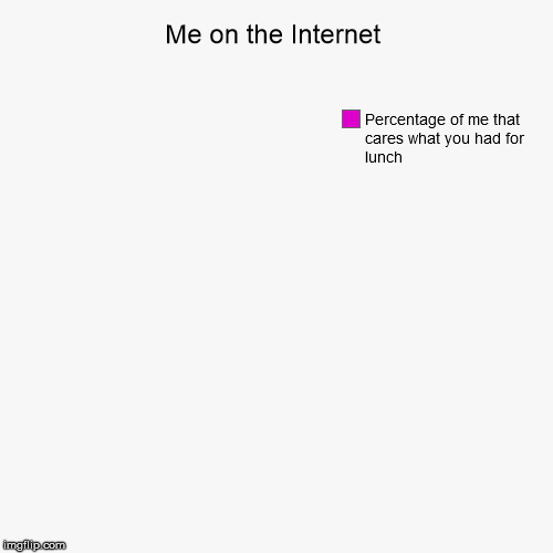 Me on the Internet | Percentage of me that cares what you had for lunch | image tagged in funny,pie charts | made w/ Imgflip chart maker