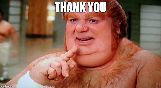 fat | THANK YOU | image tagged in fat | made w/ Imgflip meme maker