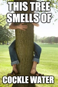 tree hugger | THIS TREE SMELLS OF; COCKLE WATER | image tagged in tree hugger | made w/ Imgflip meme maker