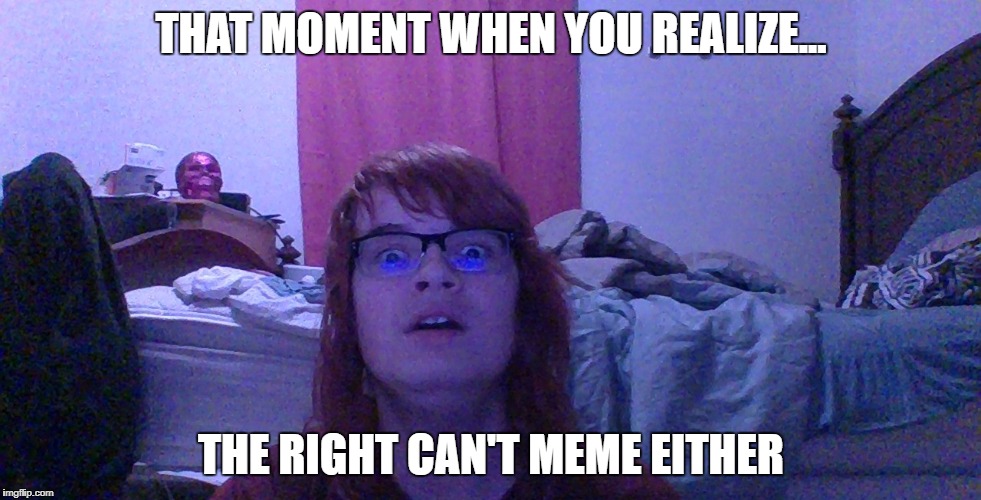 So the left can't meme... | THAT MOMENT WHEN YOU REALIZE... THE RIGHT CAN'T MEME EITHER | image tagged in meme,politics,centrist,left,right | made w/ Imgflip meme maker