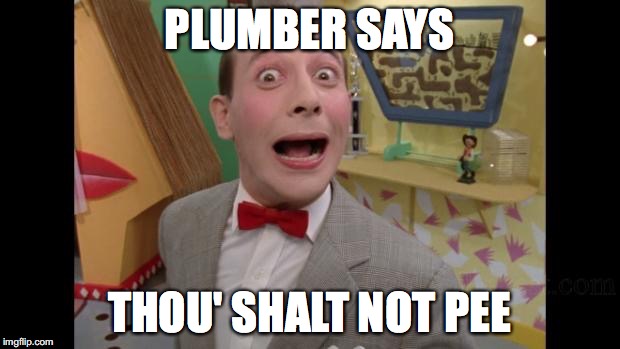 Pee Wee | PLUMBER SAYS; THOU' SHALT NOT PEE | image tagged in pee wee | made w/ Imgflip meme maker