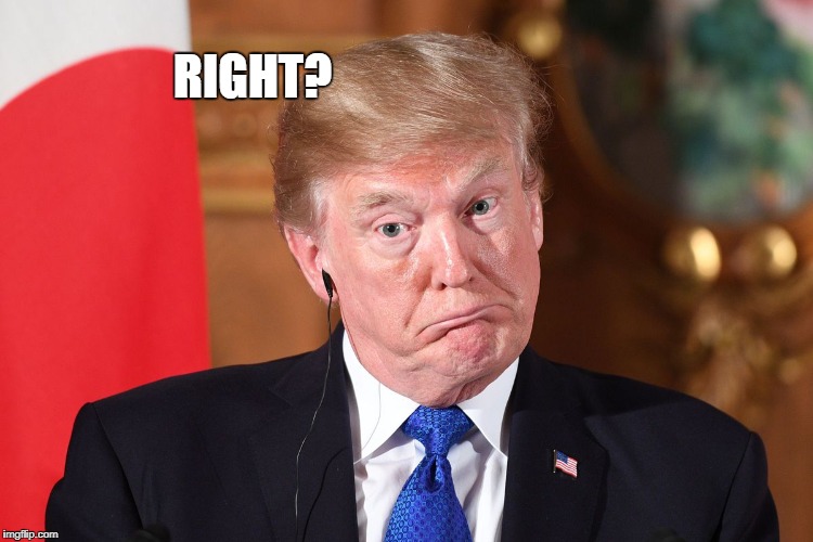 Trump dumbfounded | RIGHT? | image tagged in trump dumbfounded | made w/ Imgflip meme maker