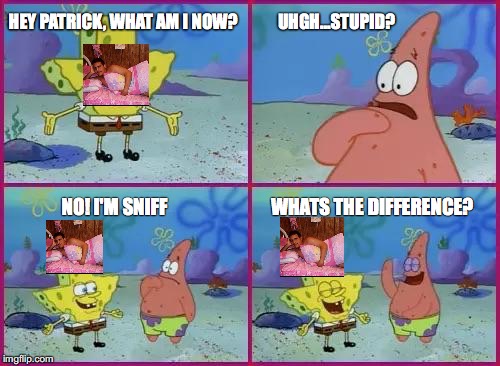 Texas Spongebob | HEY PATRICK, WHAT AM I NOW?            UHGH...STUPID? NO! I'M SNIFF                            WHATS THE DIFFERENCE? | image tagged in texas spongebob | made w/ Imgflip meme maker