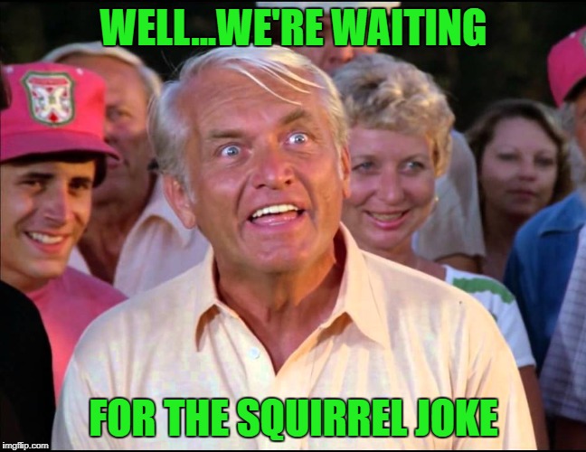 WELL...WE'RE WAITING FOR THE SQUIRREL JOKE | made w/ Imgflip meme maker