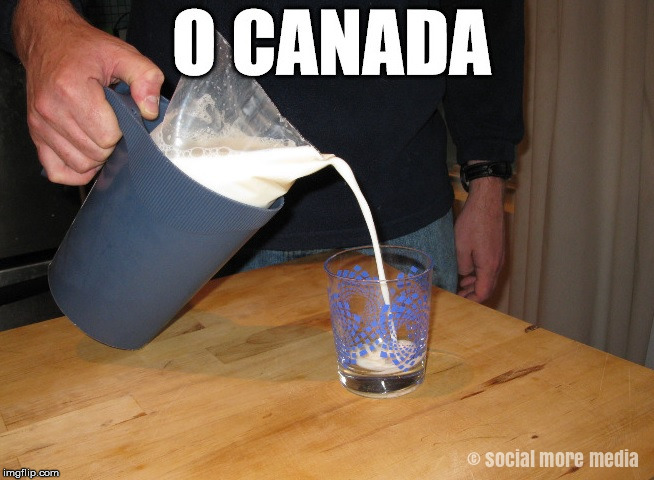 Top More Than Canadian Bagged Milk Meme Esthdonghoadian