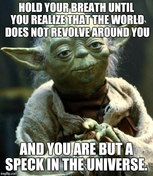 Star Wars Yoda | HOLD YOUR BREATH UNTIL YOU REALIZE THAT THE WORLD DOES NOT REVOLVE AROUND YOU; AND YOU ARE BUT A SPECK IN THE UNIVERSE. | image tagged in memes,star wars yoda | made w/ Imgflip meme maker