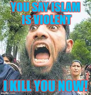 People Who Say Islam Is Peaceful Need To Get A Mental Health Check Up | YOU SAY ISLAM IS VIOLENT; I KILL YOU NOW! | image tagged in angry muslim 2 sodomy | made w/ Imgflip meme maker