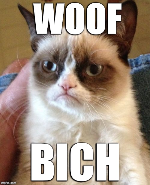 Grumpy Cat Meme | WOOF BICH | image tagged in memes,grumpy cat | made w/ Imgflip meme maker