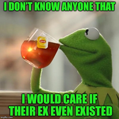 But That's None Of My Business Meme | I DON’T KNOW ANYONE THAT I WOULD CARE IF THEIR EX EVEN EXISTED | image tagged in memes,but thats none of my business,kermit the frog | made w/ Imgflip meme maker