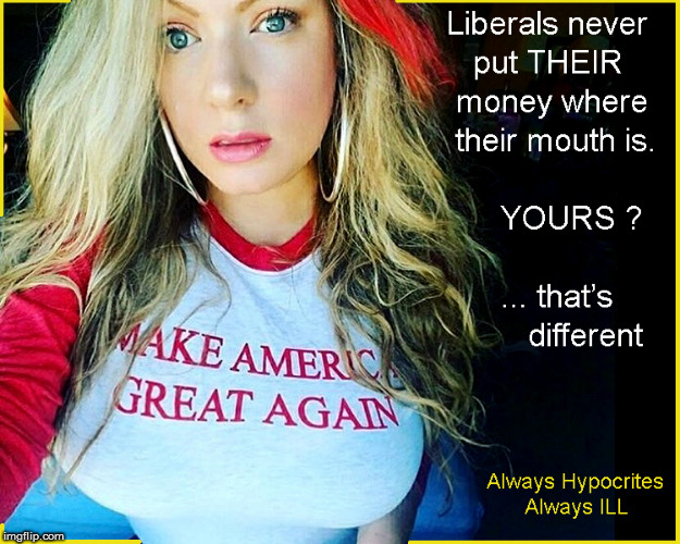 Put your money where your mouth is  | image tagged in liberal logic,libtards,maga,babes,politics lol,funny memes | made w/ Imgflip meme maker