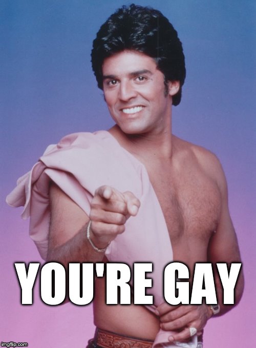 YOU'RE GAY | image tagged in gay | made w/ Imgflip meme maker