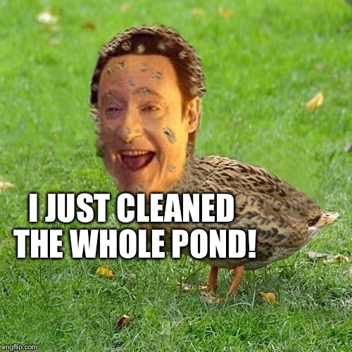 Cool Bullshit Da data duckith | I JUST CLEANED THE WHOLE POND! | image tagged in cool bullshit da data duckith | made w/ Imgflip meme maker