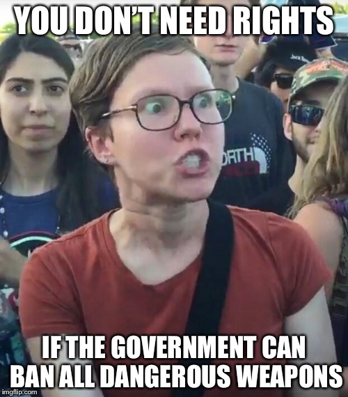 YOU DON’T NEED RIGHTS IF THE GOVERNMENT CAN BAN ALL DANGEROUS WEAPONS | made w/ Imgflip meme maker