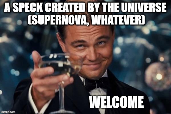 Leonardo Dicaprio Cheers Meme | A SPECK CREATED BY THE UNIVERSE (SUPERNOVA, WHATEVER) WELCOME | image tagged in memes,leonardo dicaprio cheers | made w/ Imgflip meme maker