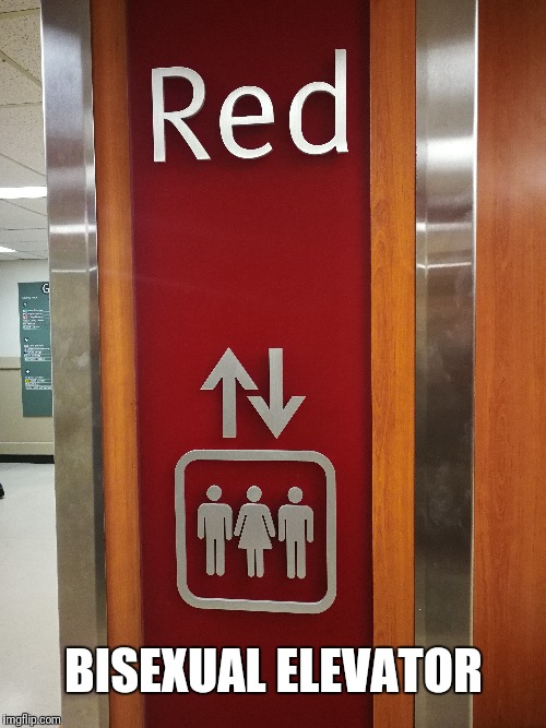 The Bisexual Elevator! | BISEXUAL ELEVATOR | image tagged in funny,bisexual,funny signs,elevator | made w/ Imgflip meme maker