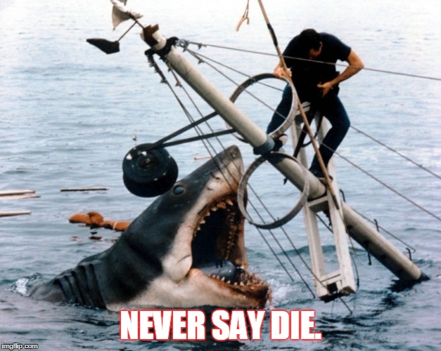 Jaws | NEVER SAY DIE. | image tagged in jaws | made w/ Imgflip meme maker