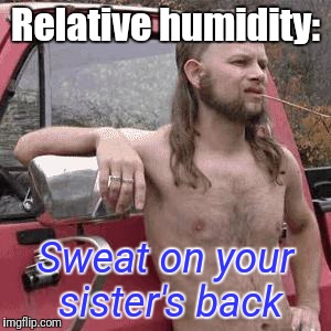 Doggy style | Relative humidity:; Sweat on your sister's back | image tagged in almost redneck,doggy style | made w/ Imgflip meme maker