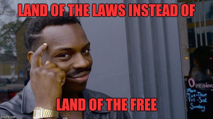 Roll Safe Think About It Meme | LAND OF THE LAWS INSTEAD OF LAND OF THE FREE | image tagged in memes,roll safe think about it | made w/ Imgflip meme maker