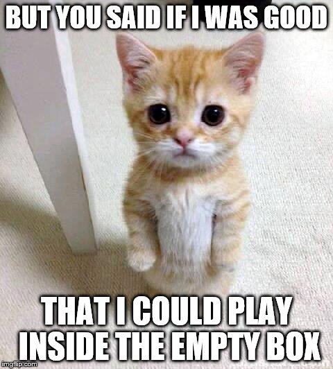 Cute Cat Meme | BUT YOU SAID IF I WAS GOOD; THAT I COULD PLAY INSIDE THE EMPTY BOX | image tagged in memes,cute cat,good,empty box | made w/ Imgflip meme maker