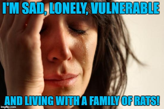 First World Problems Meme | I'M SAD, LONELY, VULNERABLE AND LIVING WITH A FAMILY OF RATS! | image tagged in memes,first world problems | made w/ Imgflip meme maker