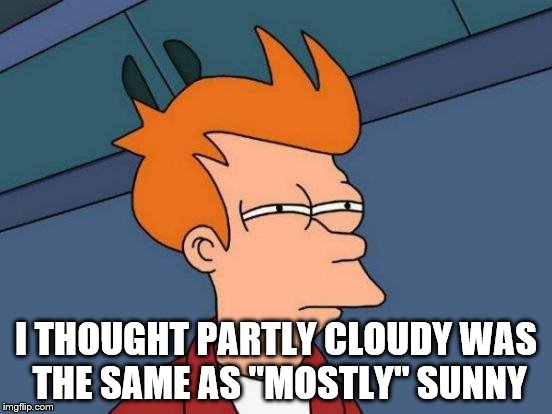 Futurama Fry Meme | I THOUGHT PARTLY CLOUDY WAS THE SAME AS "MOSTLY" SUNNY | image tagged in memes,futurama fry | made w/ Imgflip meme maker