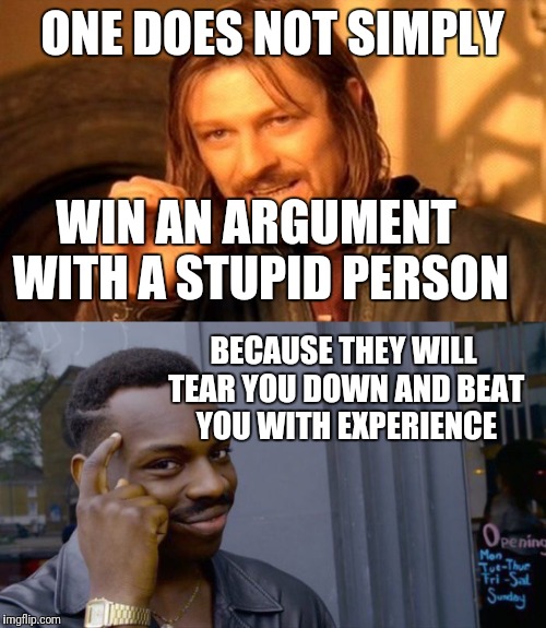 ONE DOES NOT SIMPLY; WIN AN ARGUMENT WITH A STUPID PERSON; BECAUSE THEY WILL TEAR YOU DOWN AND BEAT YOU WITH EXPERIENCE | image tagged in logic | made w/ Imgflip meme maker