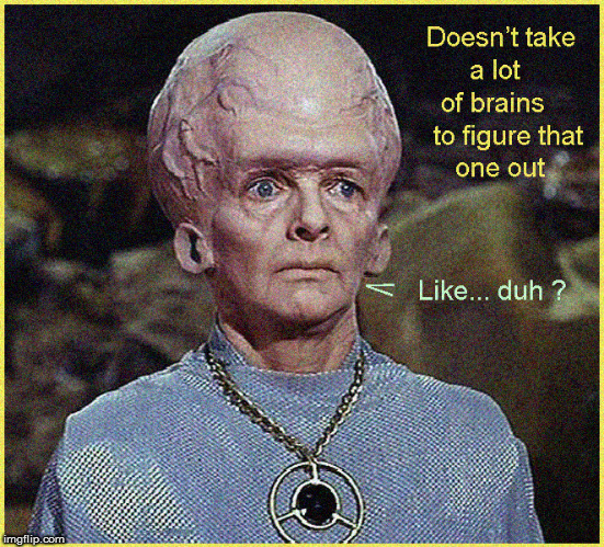 Doesn't take a lot of brains .... | image tagged in politics lol,funny memes,star trek,funny meme,lol so funny,duh | made w/ Imgflip meme maker