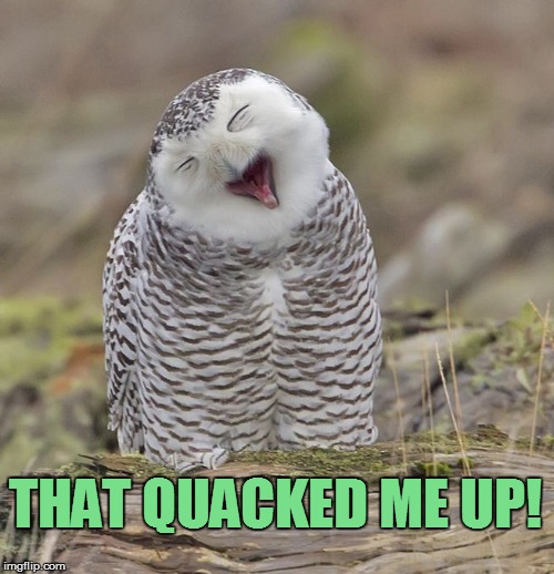 THAT QUACKED ME UP! | made w/ Imgflip meme maker