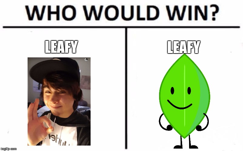 Who Would Win? Meme |  LEAFY; LEAFY | image tagged in memes,who would win | made w/ Imgflip meme maker