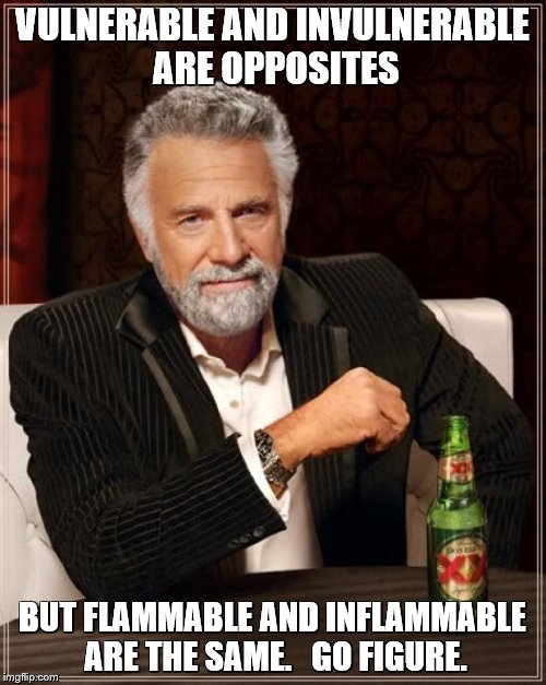 The Most Interesting Man In The World Meme | VULNERABLE AND INVULNERABLE ARE OPPOSITES BUT FLAMMABLE AND INFLAMMABLE ARE THE SAME.   GO FIGURE. | image tagged in memes,the most interesting man in the world | made w/ Imgflip meme maker