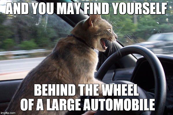 AND YOU MAY FIND YOURSELF BEHIND THE WHEEL OF A LARGE AUTOMOBILE | made w/ Imgflip meme maker