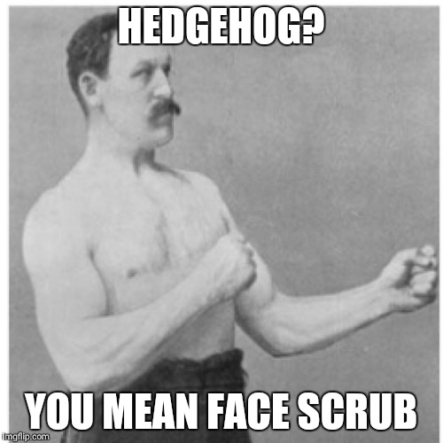 Overly Manly Man Meme | HEDGEHOG? YOU MEAN FACE SCRUB | image tagged in memes,overly manly man | made w/ Imgflip meme maker