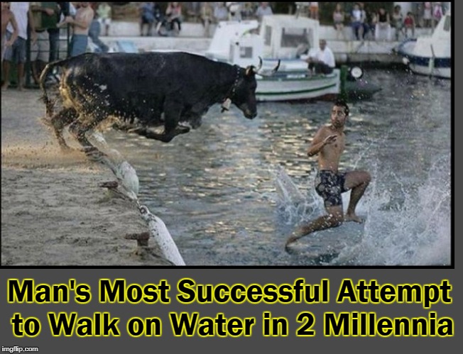 One Determined Bull | Man's Most Successful Attempt to Walk on Water in 2 Millennia | image tagged in vince vance,running of the bulls,toro bravo breed,the festival of san fermna,pamplona spain,navarre spain | made w/ Imgflip meme maker