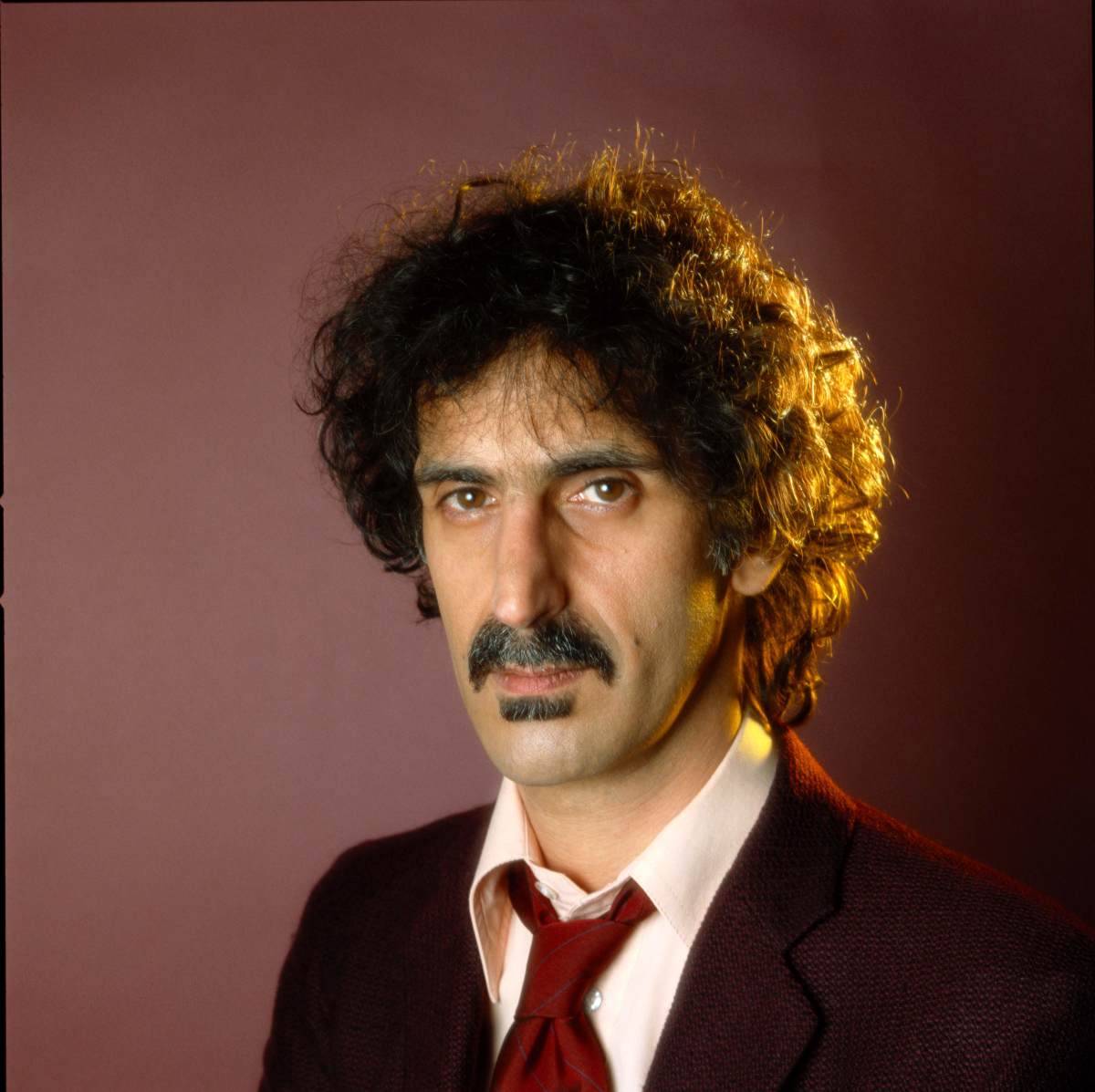 Frank Zappa Blank Meme Template